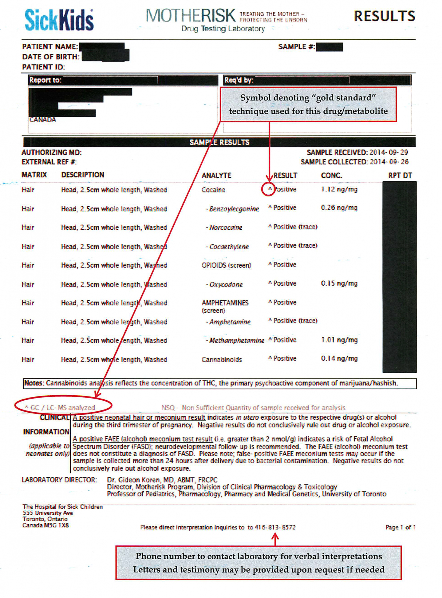 Best Megger Test Report Template Word Example