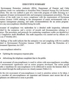 Costum Compliance Audit Report Template Excel Example