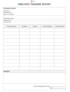 Printable Employee Training Report Template  Example