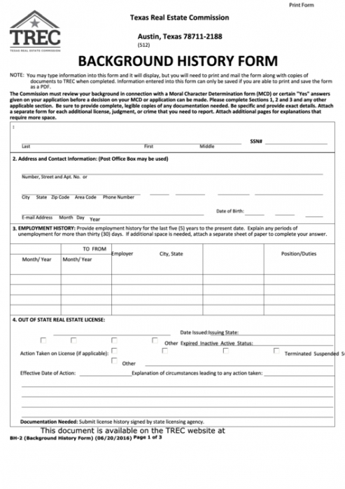 Background Check Release Form Template Pdf Example