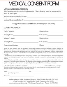 Best Medical Release Form For Grandparents Template Excel Example