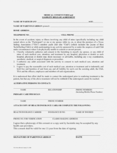 Consent Release Form Template  Sample