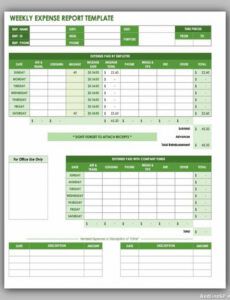 Costum Construction Expense Report Template  Example