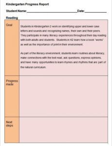 Daily Progress Report Template  Sample