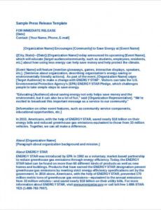 Editable Acquisition Press Release Template Word Example