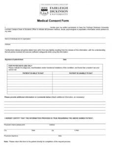 Editable Consent Release Form Template Excel Example