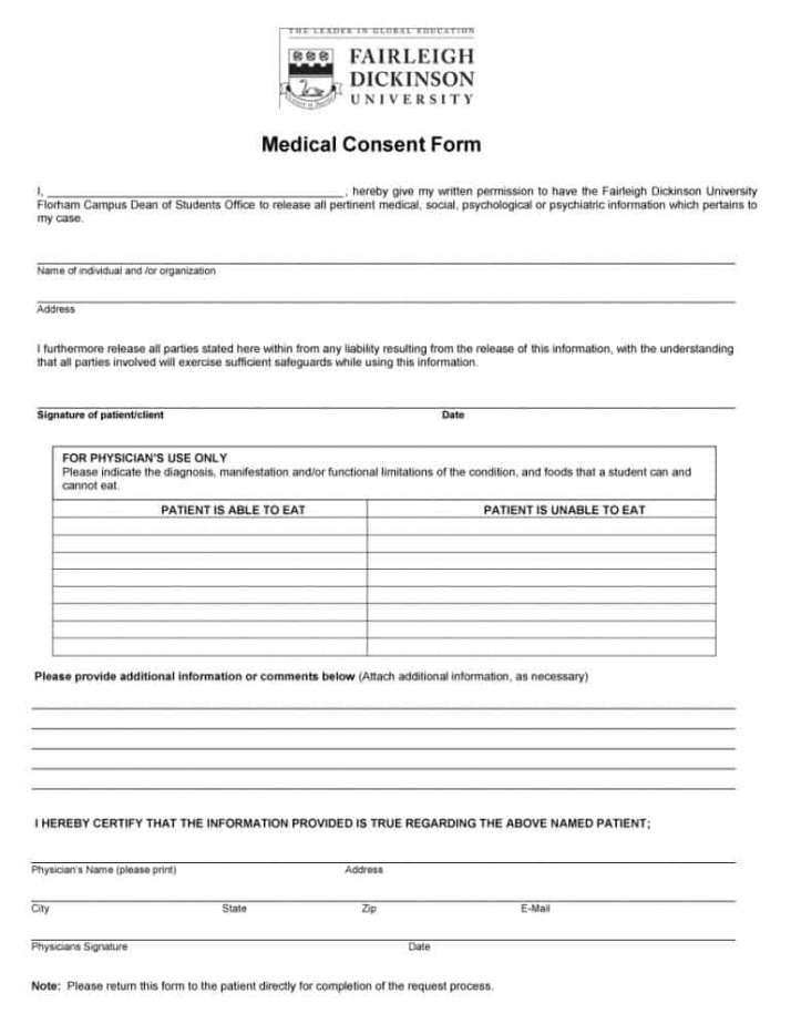 Editable Consent Release Form Template Excel Example