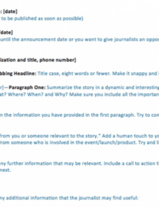 Free Easy Press Release Template  Example