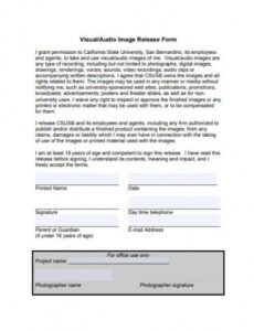 Free Video Waiver Release Form Template Word
