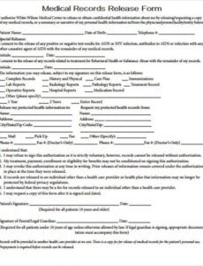 Professional Medical Records Release Form Template F Excel Sample
