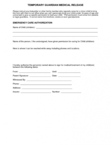 Professional Medical Release Form For Grandparents Template Doc Example