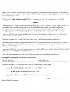 Professional School Media Release Form Template Excel