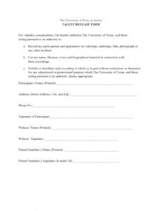 Professional Video Production Release Form Template Pdf Example