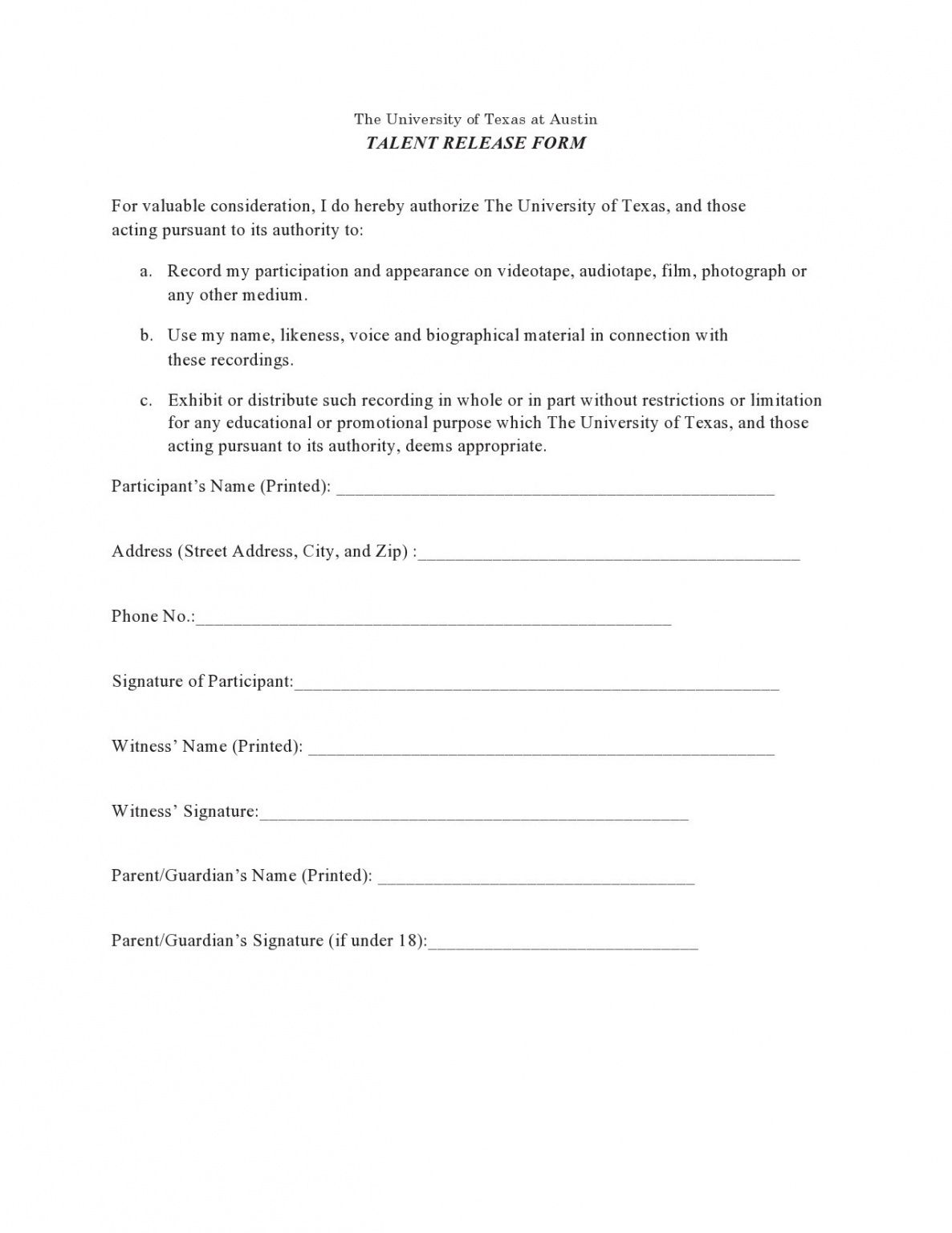 Professional Video Production Release Form Template Pdf Example