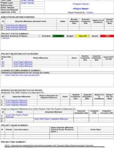 Best Weekly Team Status Report Template Pdf Sample