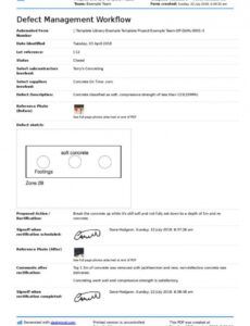 Editable Defects Report Template  Example