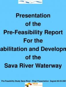 Editable Pre Feasibility Report Template