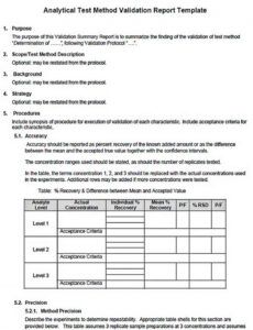 Editable Software Validation Report Template Doc Sample