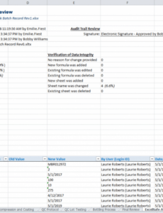 Editable Software Validation Report Template Excel