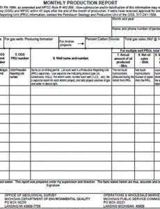 Editable Theatre Performance Report Template