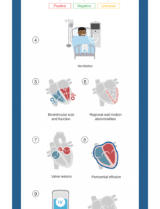 Professional Echocardiogram Report Template Excel