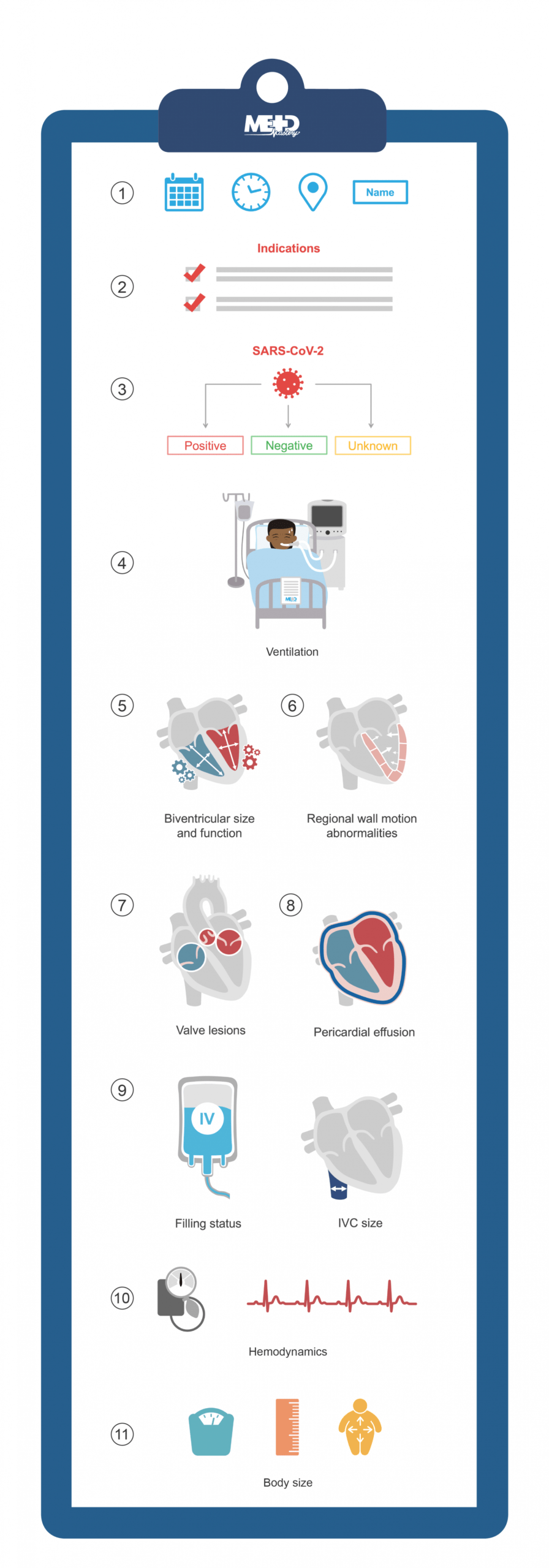 Professional Echocardiogram Report Template Excel