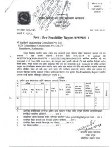 Professional Pre Feasibility Report Template Word