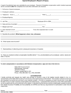 Professional Work Injury Report Form Template Excel Sample