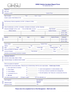 Professional Work Injury Report Form Template Pdf Example
