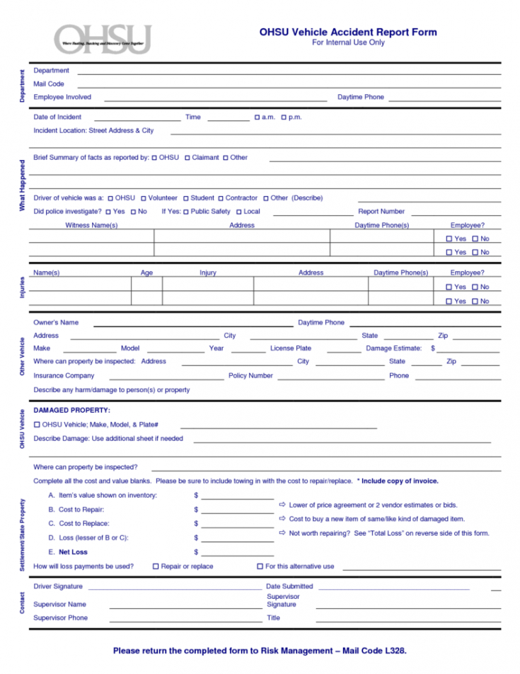 Professional Work Injury Report Form Template Pdf Example