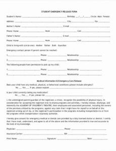 Emergency Room Release Form Template  Example