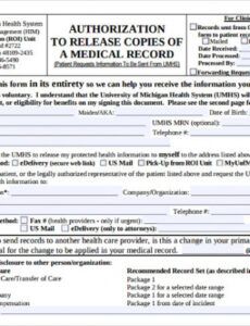 Printable Jail Release Form Template Excel Example