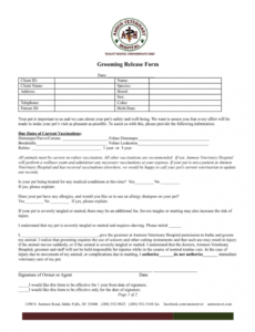 Printable Veterinary Release Form Template Pdf Example