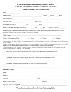 Professional Parental Release Form Template Word Sample