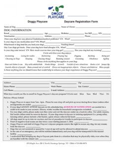 Professional Veterinary Release Form Template