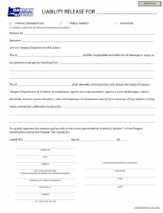 Property Liability Release Form Template  Example