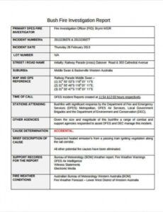 Printable Clinical Investigation Report Summary Template Doc Sample