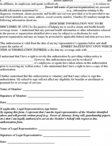 Best Consent To Release Personal Information Form Template Pdf Sample