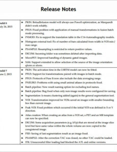 Costum Build Release Template Pdf Example