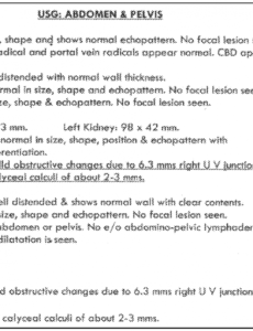 Costum Canine Abdominal Ultrasound Report Template Word