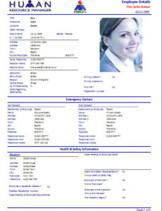 Editable Safeguarding Investigation Report Template Excel Example