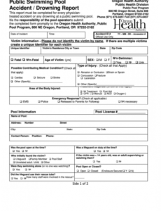 Free Application Health Check Report Template Doc