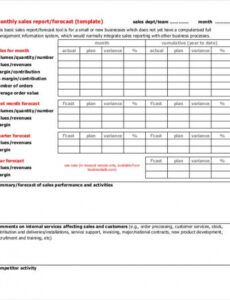 Free Customer Service Daily Report Template  Sample