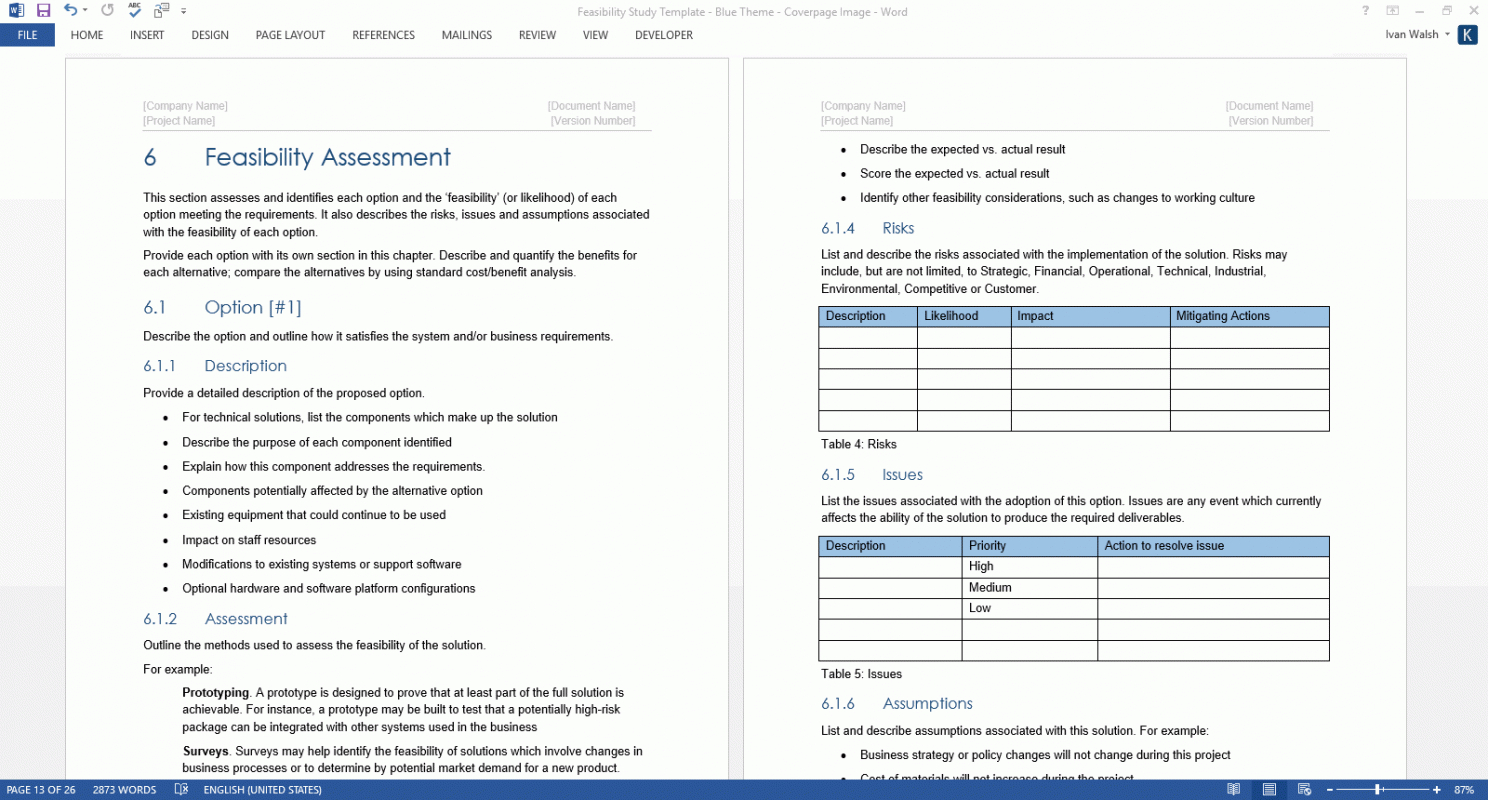 Free Planning Justification Report Template Pdf Sample