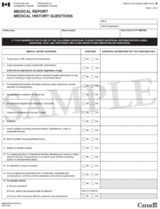 Printable Application Health Check Report Template Word Example