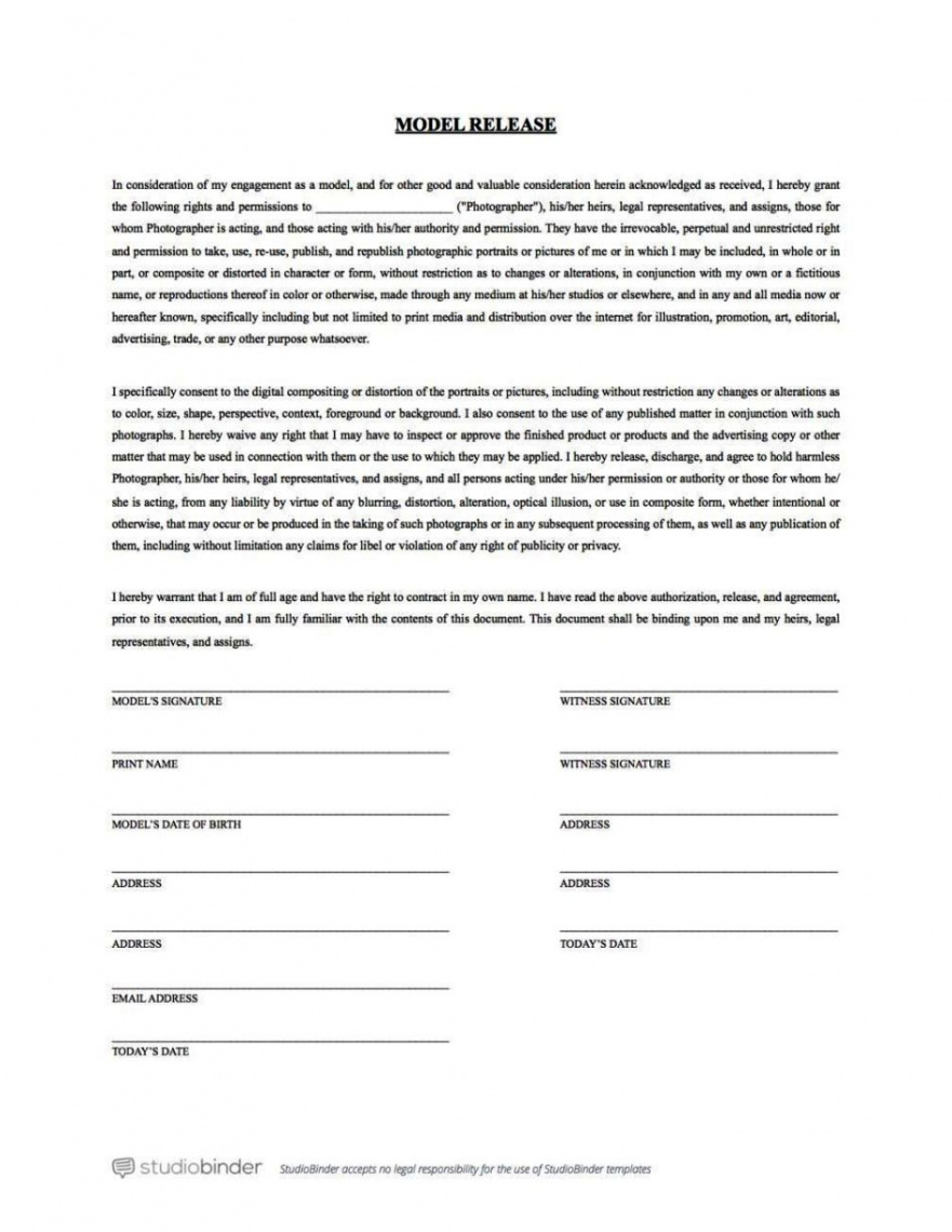 Professional Consent To Release Personal Information Form Template  Example