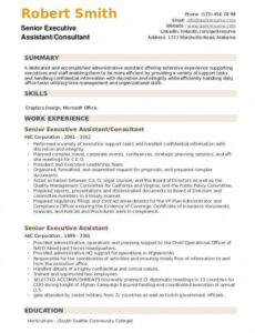 Professional Executive Director Board Report Template Excel Sample