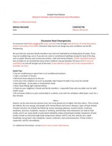 Best News Release Template Doc Sample