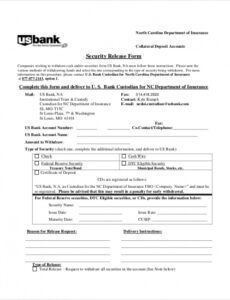 Professional Vehicle Lien Release Template Doc