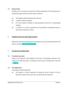 Editable Employment Termination Release Template Word Sample